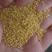 精品小米磨面小米养鸟米量大优惠品质保障