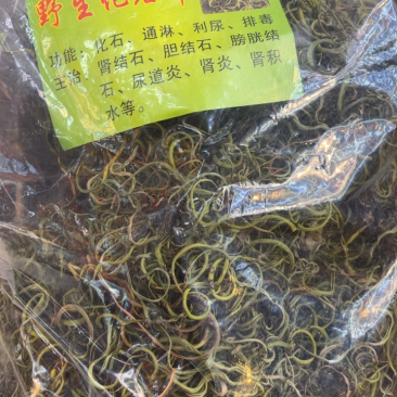 化石草结石草