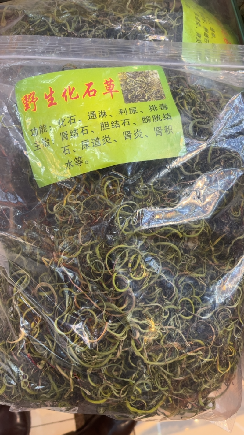 化石草结石草