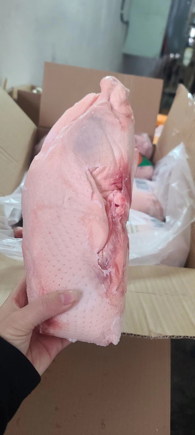 800-900克半片鸭