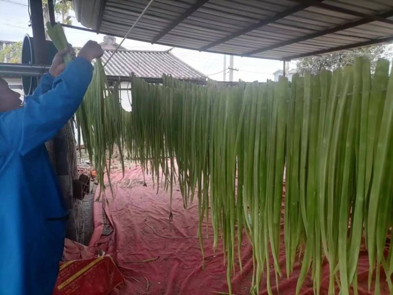 【精品】云南大理苔干高原一级无叶贡菜，量大从优，欢迎来电