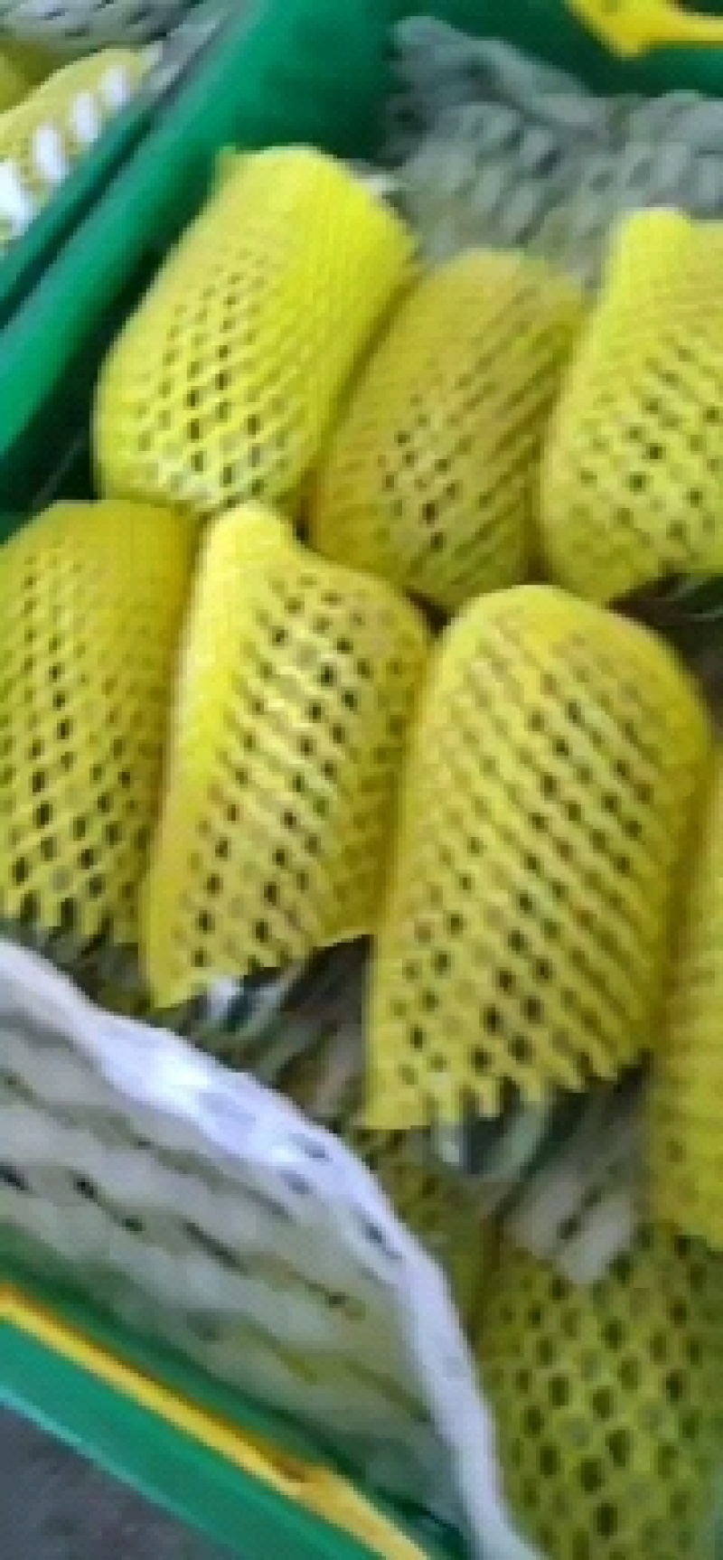 （热卖中）山东一手货源羊角蜜瓜货源充足量大从优