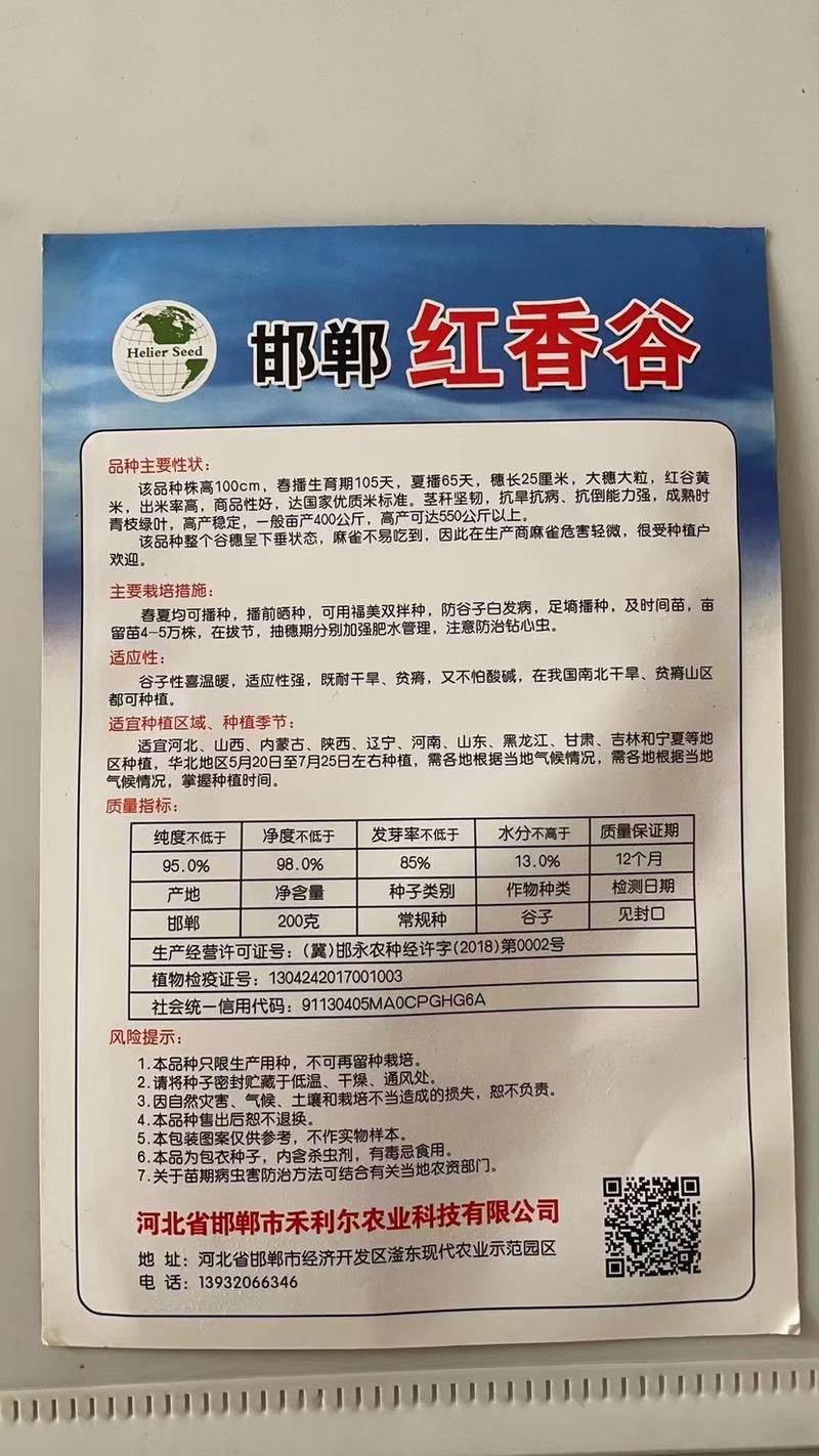 十里香稻谷种子大量有货，产量高，价格实惠，欢迎选购