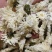 菊花白菊花干品包邮量大从优一手货源批发