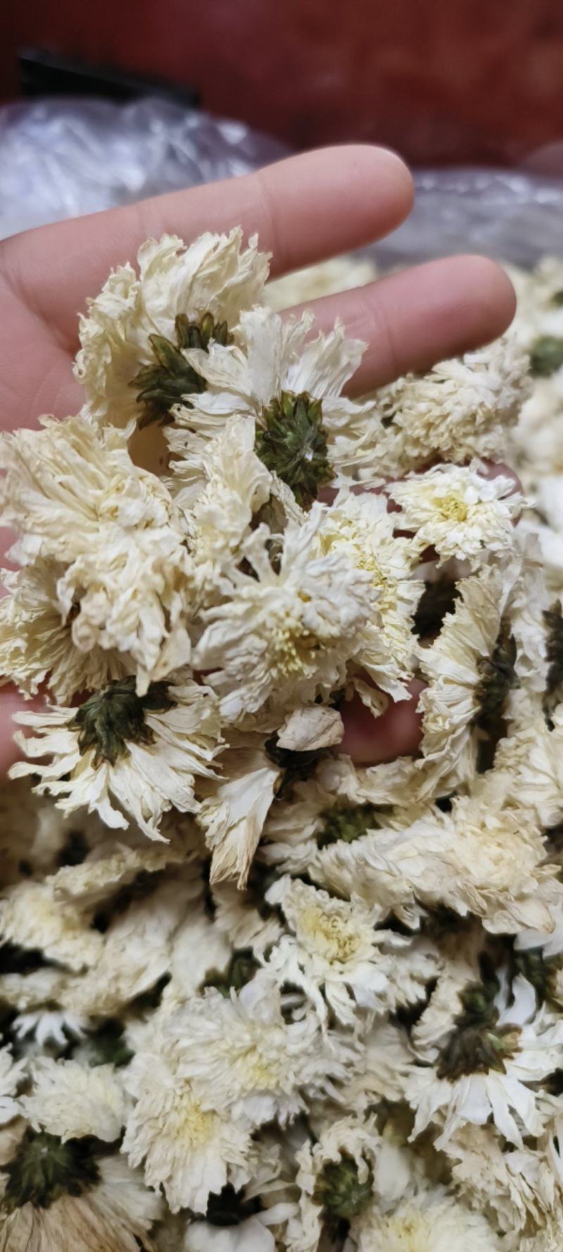 菊花白菊花干品包邮量大从优一手货源批发