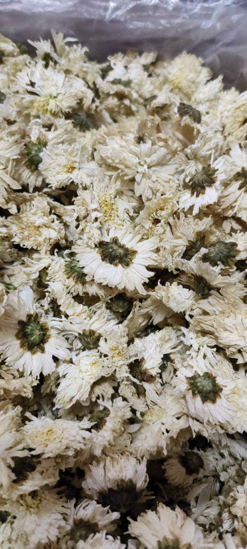菊花白菊花干品包邮量大从优一手货源批发
