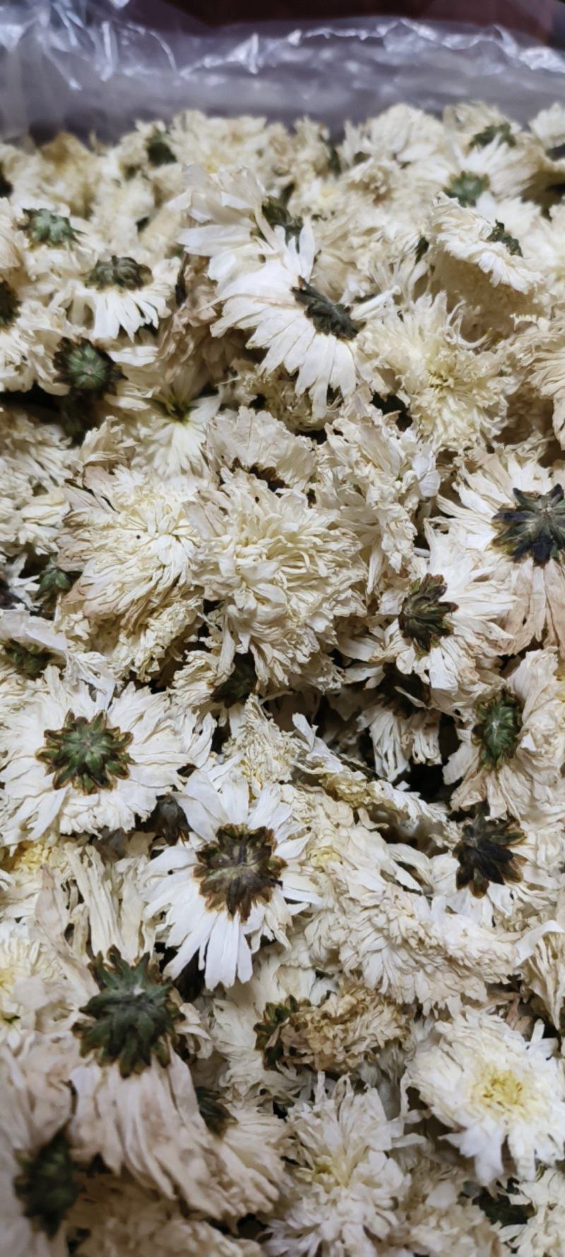 菊花白菊花干品包邮量大从优一手货源批发
