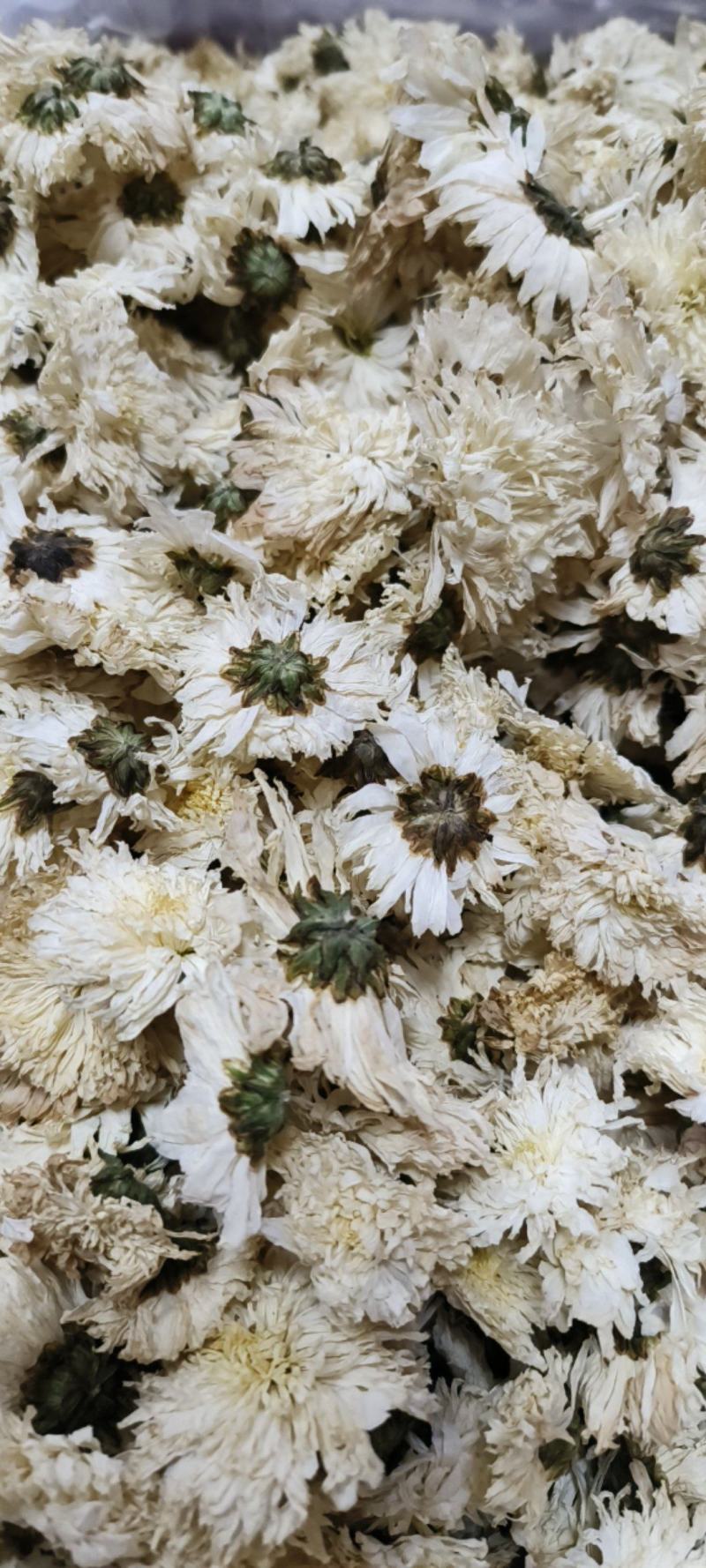 菊花白菊花干品包邮量大从优一手货源批发