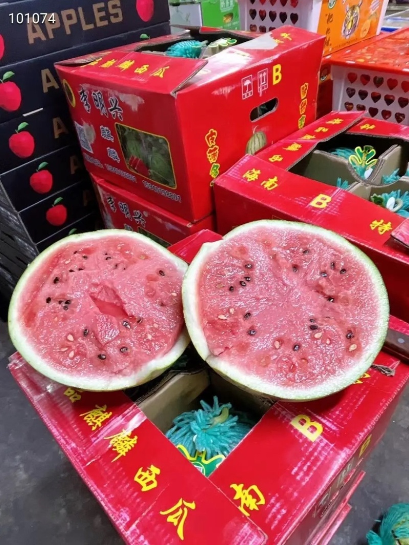 美都西瓜美都西瓜大量上市一手货源品质保证欢迎来电