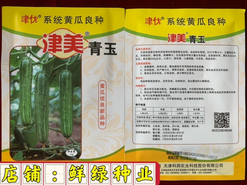 津美青玉早熟雌性强肉厚脆甜无苦味色绿耐低温弱光