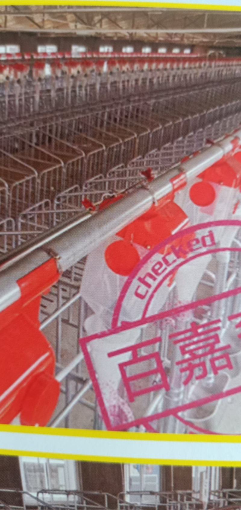 厂家批发农牧设备安装成套流水线招各地代理