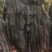 鲜牛百叶