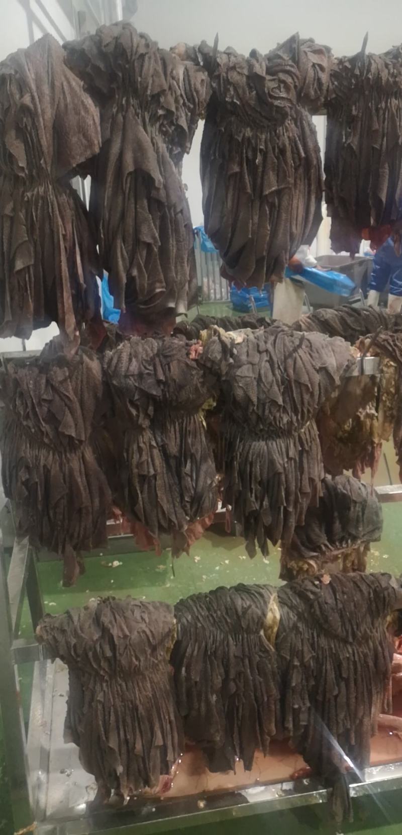 鲜牛百叶