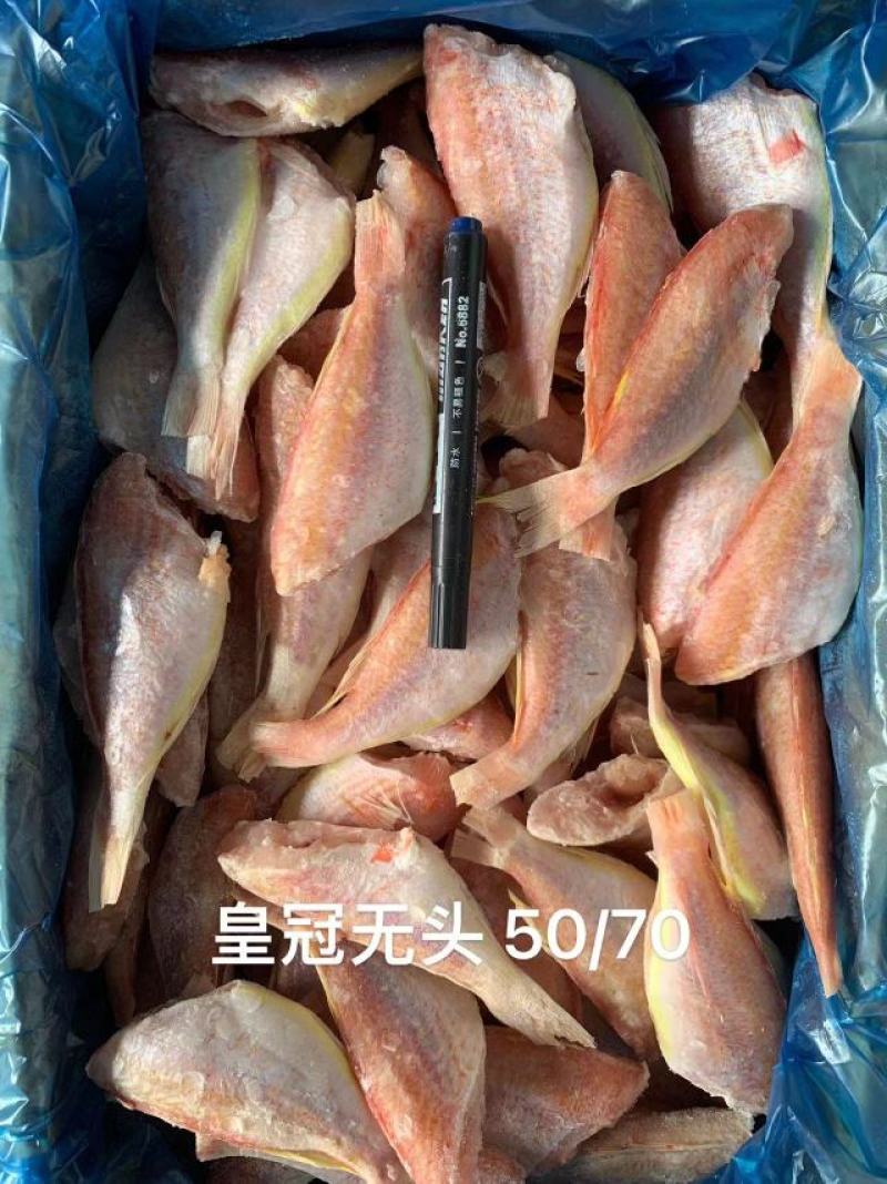 【热卖】无头红衫鱼，一手货源品质保证欢迎咨询选购