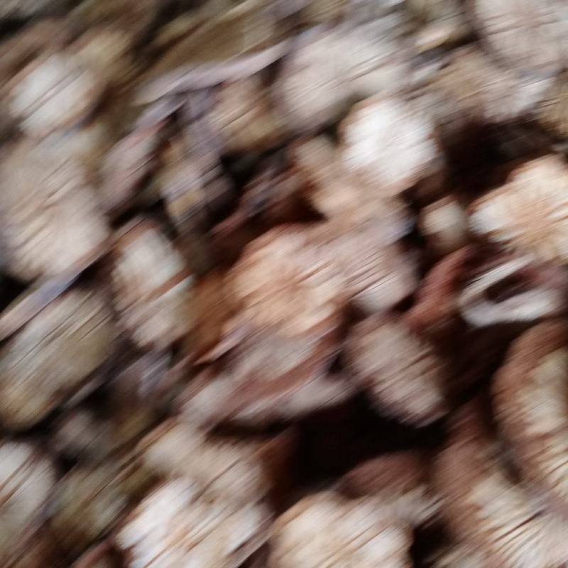 精品贵州本地大血藤，红藤，干度好，批发价格优