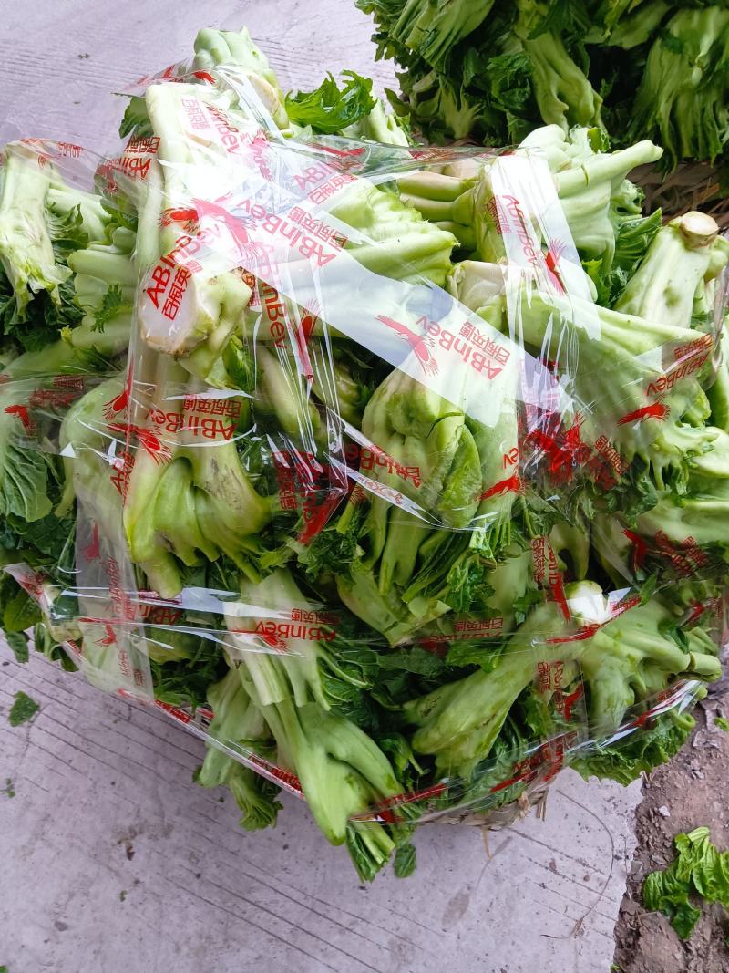 包包儿菜