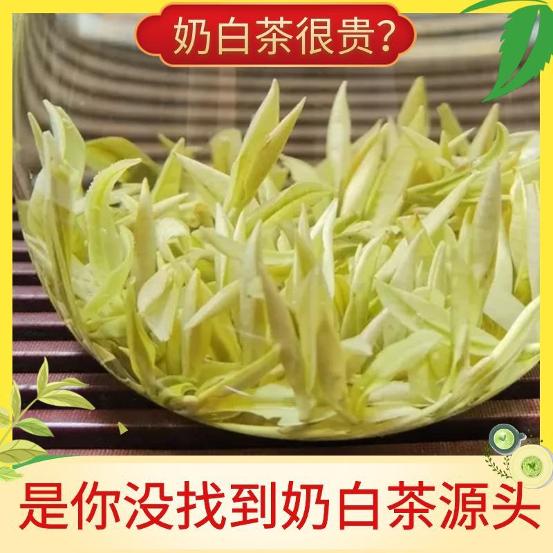 2023茶叶六安瓜片，黄芽，白茶，小兰花
