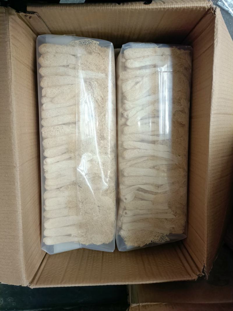 【半价】竹荪大减价500g价格美丽一手货源