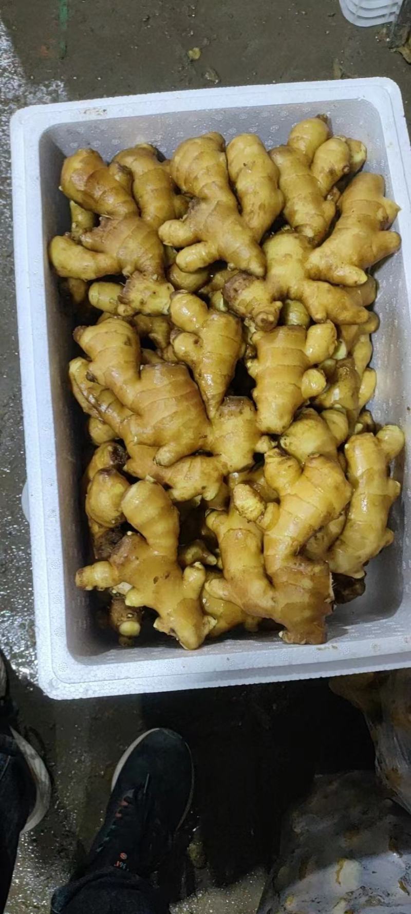 大姜产地批发优质大姜大量现货品质好全国发货