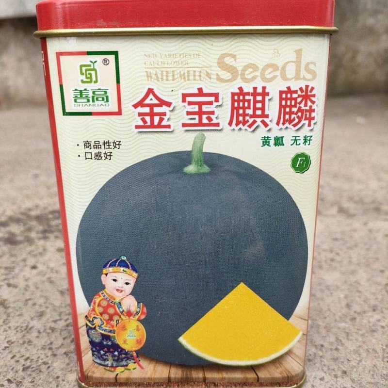 金宝麒麟黄心无籽西瓜种子，50克，纯黑皮，果肉黄品质佳