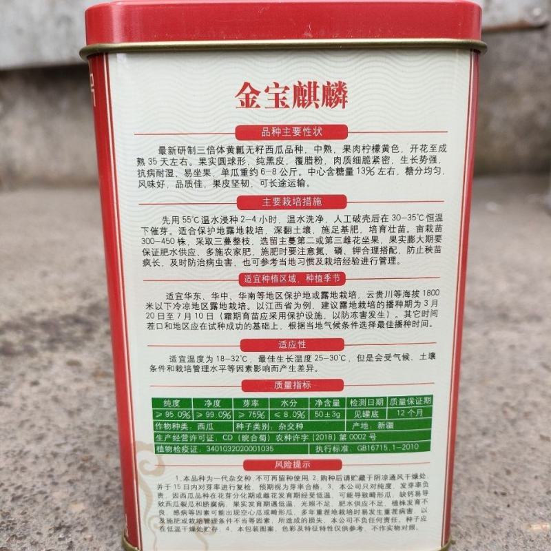 金宝麒麟黄心无籽西瓜种子，50克，纯黑皮，果肉黄品质佳