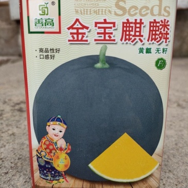 金宝麒麟黄心无籽西瓜种子，50克，纯黑皮，果肉黄品质佳