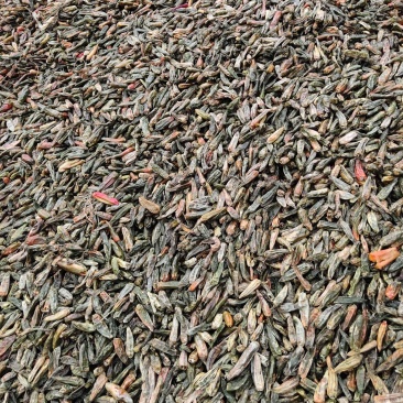 河南临颍干辣椒，纯青辣椒做黑胡椒粉专用，货源充足。