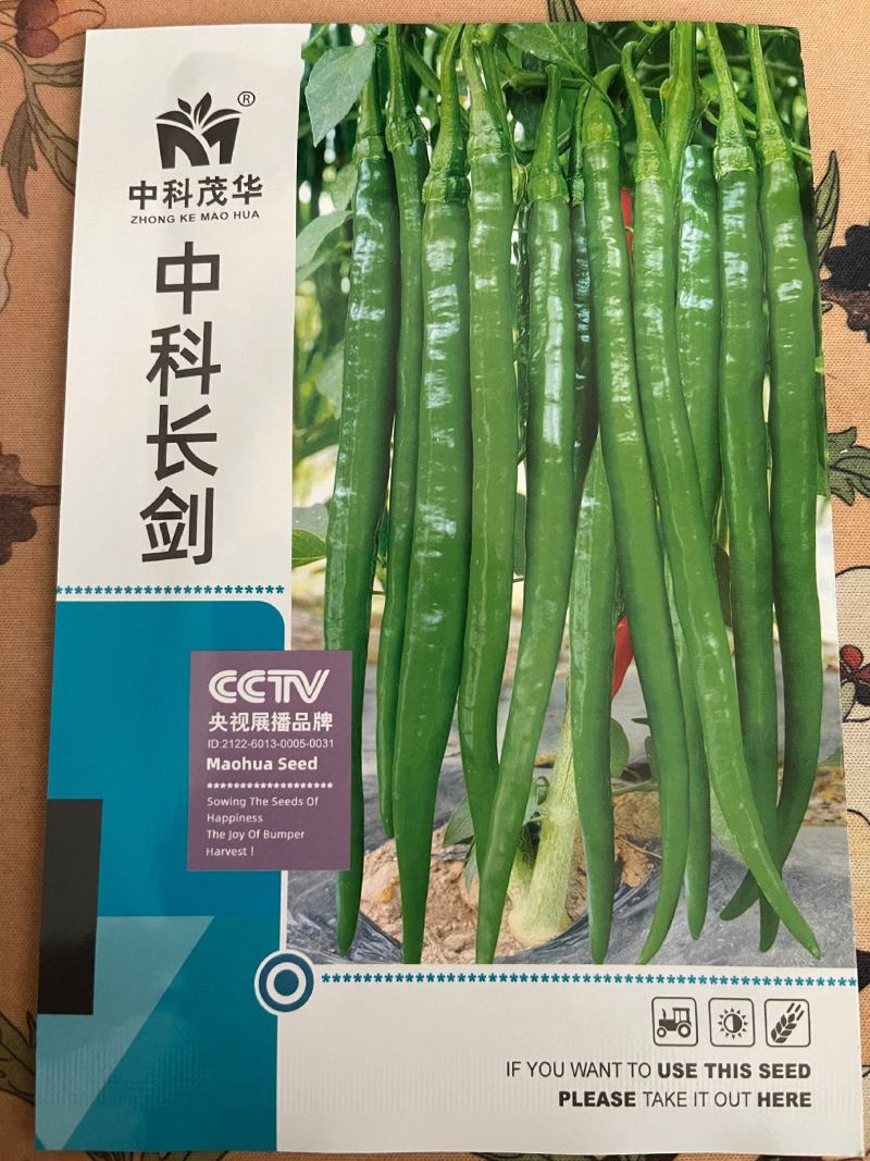 中科长剑线椒种子，早熟翠绿，椒条顺直，结椒能力强