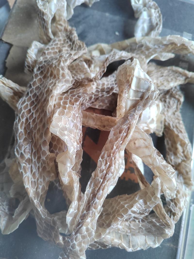 蛇蜕，龙衣，长虫皮，丹丹中药材批发，水洗货干净无杂质