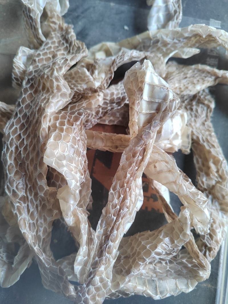 蛇蜕，龙衣，长虫皮，丹丹中药材批发，水洗货干净无杂质