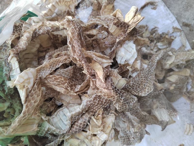 蛇蜕，龙衣，长虫皮，丹丹中药材批发，水洗货干净无杂质