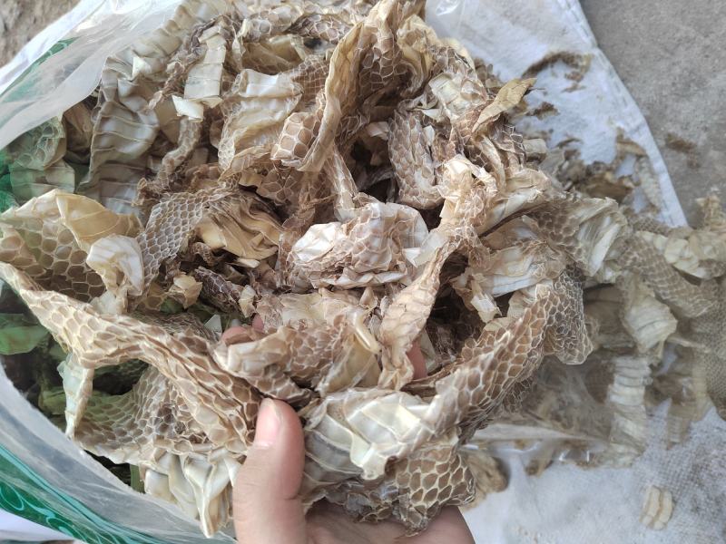 蛇蜕，龙衣，长虫皮，丹丹中药材批发，水洗货干净无杂质