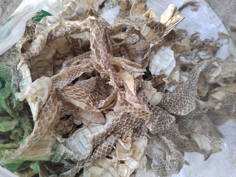 蛇蜕，龙衣，长虫皮，丹丹中药材批发，水洗货干净无杂质