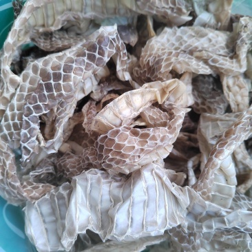 蛇蜕，龙衣，长虫皮，丹丹中药材批发，水洗货干净无杂质