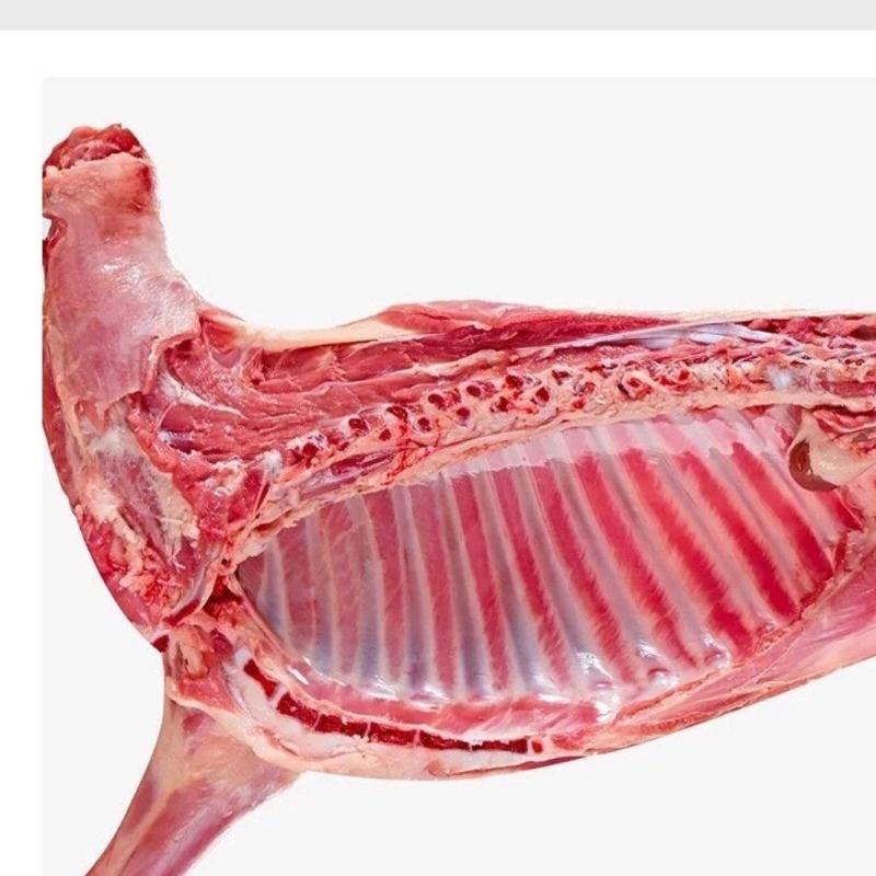 青藏高原海拔4000大自然散养羊肉，品质保证，一手货源