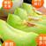 现货！山东聊城玉菇甜瓜大量上市一件代发，平台对接坏果包赔