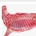 【精品】青海正宗高原散养羊肉，羊腿肉，欢迎各大客商联系