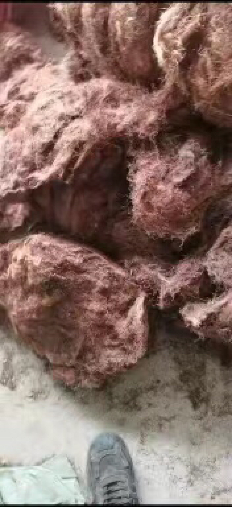 玉米须量大从优诚信经营品质保证货量充足