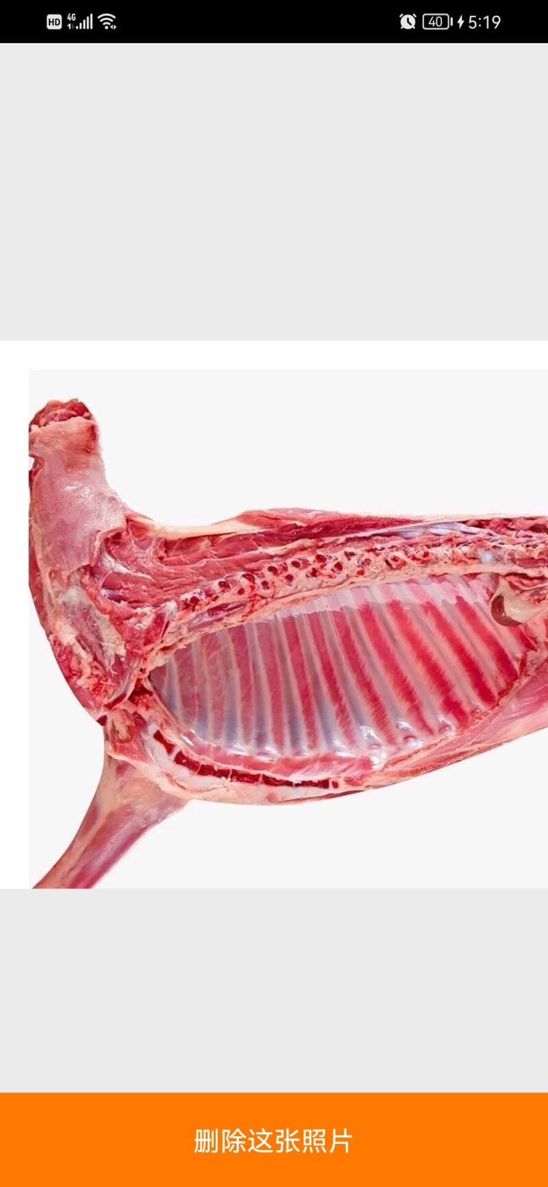 青海高海拔散养羊肉，羊排藏羊肉肉量大从优，全国发货