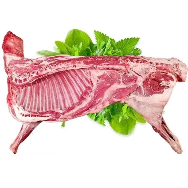 青海高海拔散养羊肉，羊排藏羊肉肉量大从优，全国发货