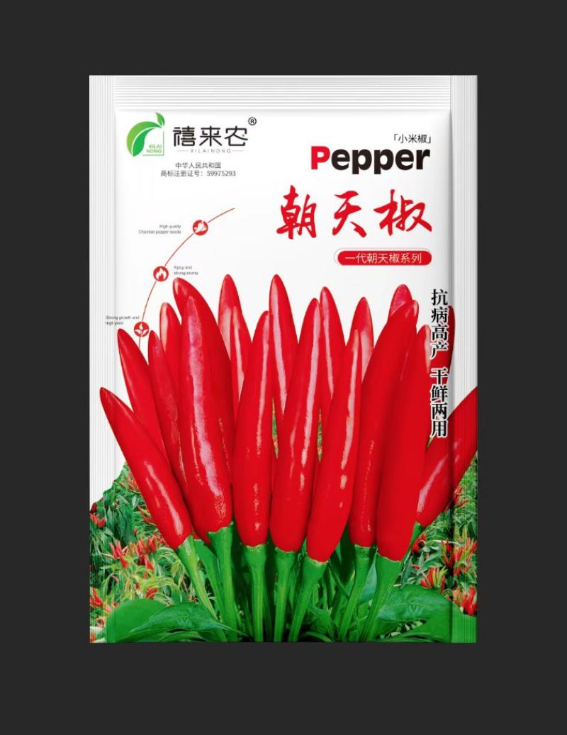七彩辣椒种子四季播五彩椒朝天椒种子籽阳台盆栽高产辣椒蔬菜