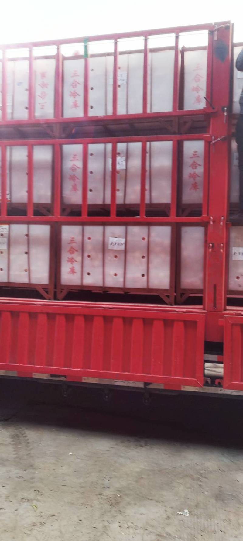 红富士苹果，全纸代水晶红富士苹果，