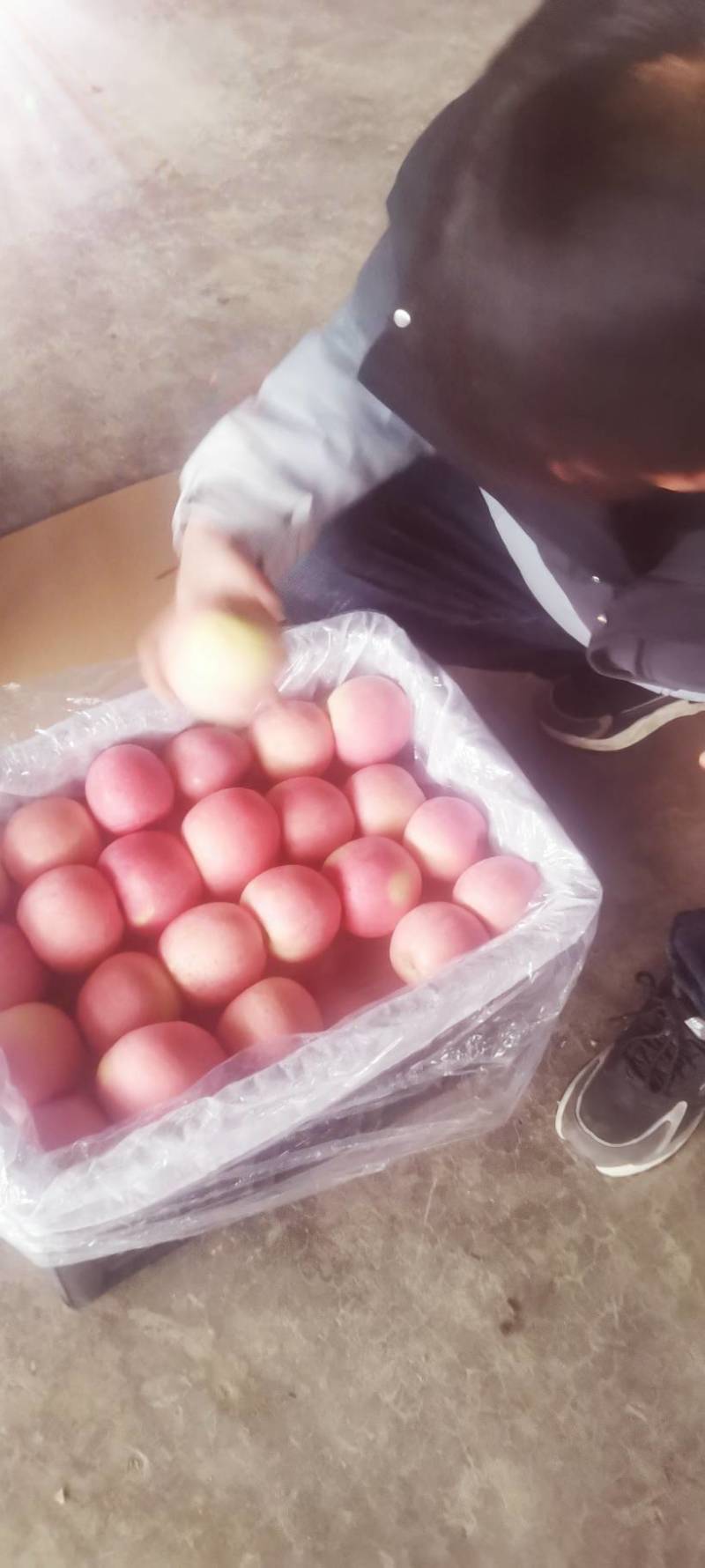 红富士苹果，全纸代水晶红富士苹果，