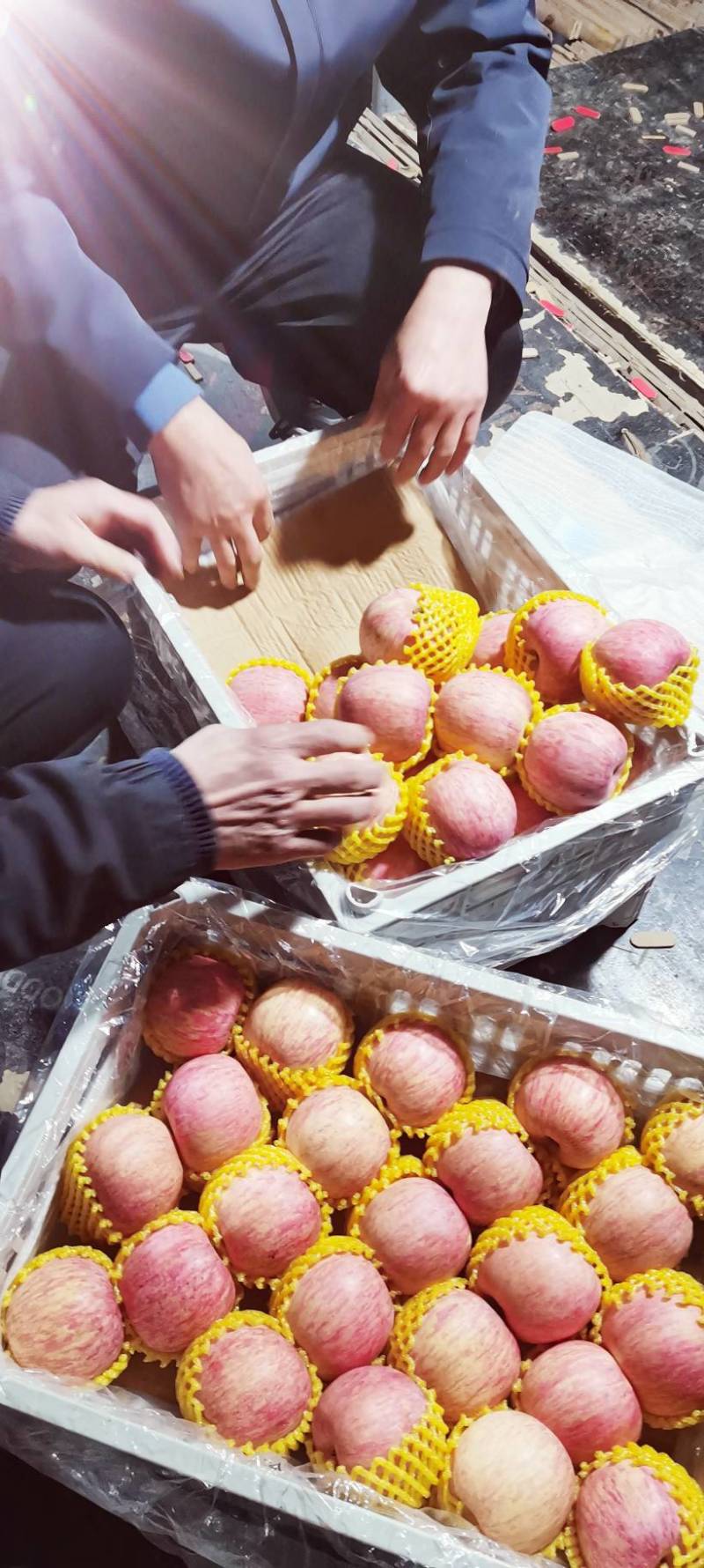 红富士苹果，全纸代水晶红富士苹果，