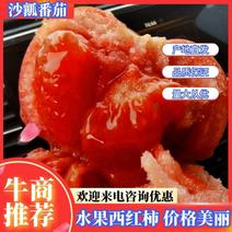 普罗旺斯番茄水果西红柿支持电商社区团购一件