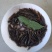 塘虱鱼苗，塘角鱼苗