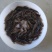 塘虱鱼苗，塘角鱼苗