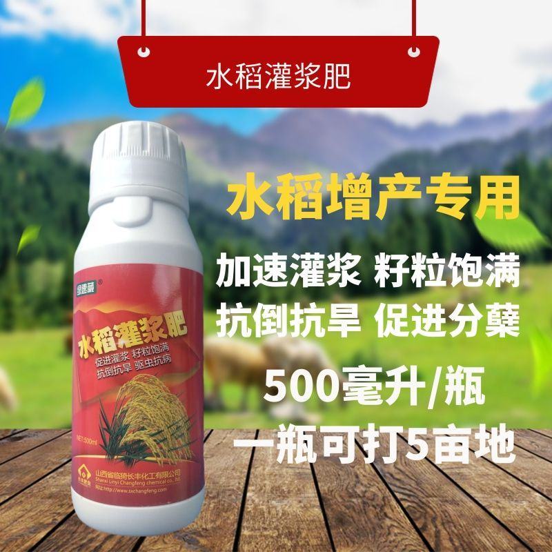 水稻灌浆肥水稻专用高产叶面肥稻黄金分蘖多返青快抗倒伏生根