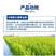 水稻灌浆肥水稻专用高产叶面肥稻黄金分蘖多返青快抗倒伏生根