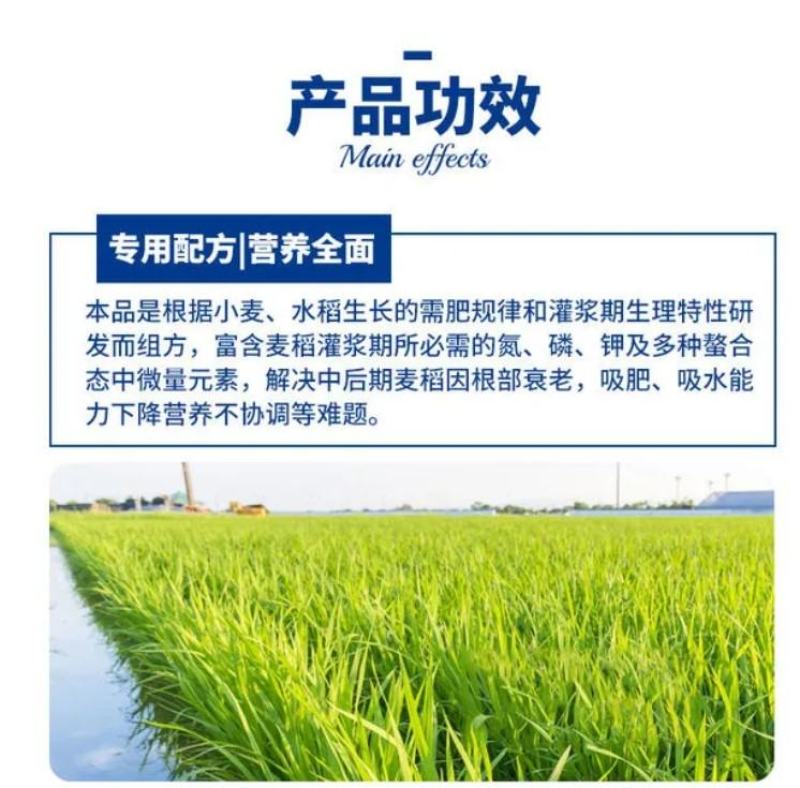 水稻灌浆肥水稻专用高产叶面肥稻黄金分蘖多返青快抗倒伏生根